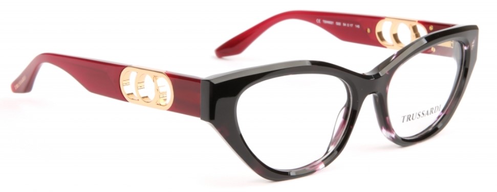Trussardi TSW6021 G22 