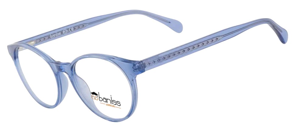 картинка BANISS BS 7091 02 