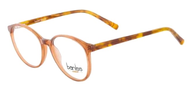 картинка BANISS BS 5069 06 